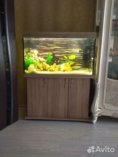 Продам аквариум 250 литров