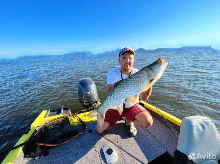 Организация рыбалки