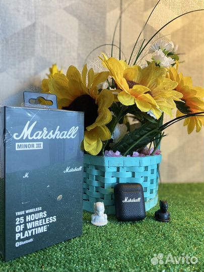 Наушники marshall minor 3