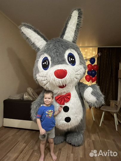Зайчик на праздник аниматор мишка