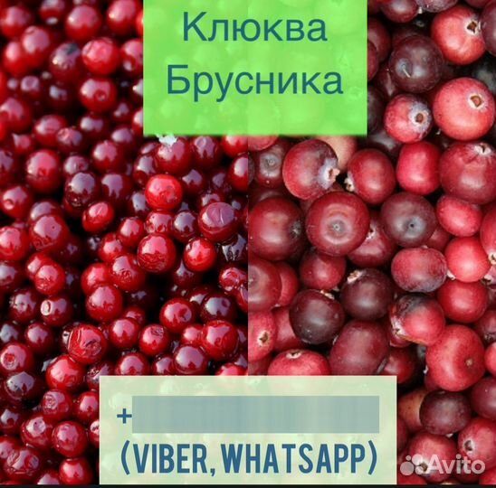 Брусника клюква