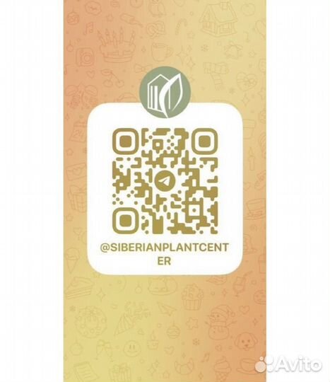 Василистник