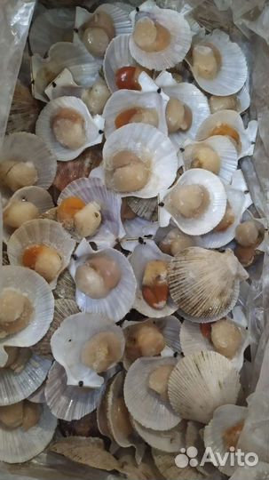 Морской гребешок (с икрой, по шанхайски)