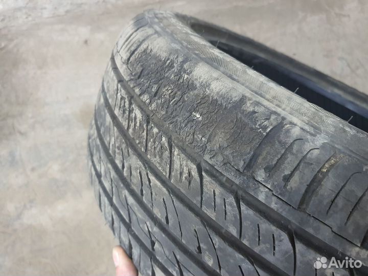 Rapid P609 195/55 R15