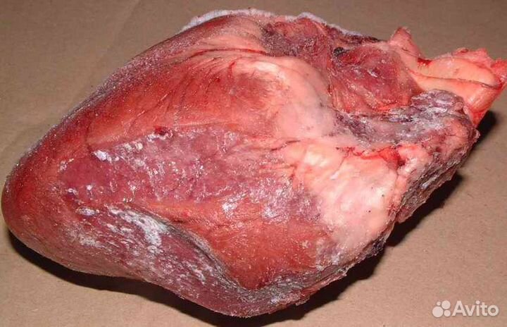 Сердце дикого кабана
