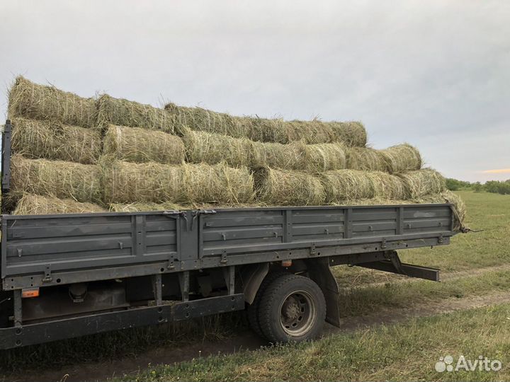 Сено в тюках