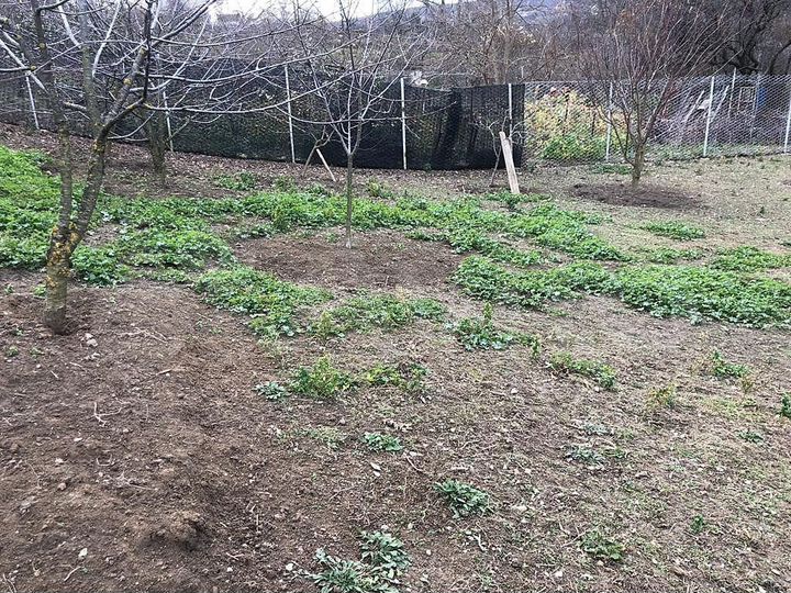 Участок 12 сот. (ИЖС)
