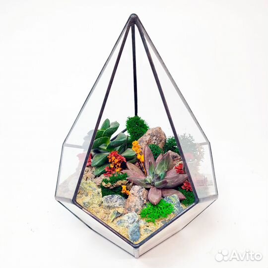 Флорариум с суккулентами 