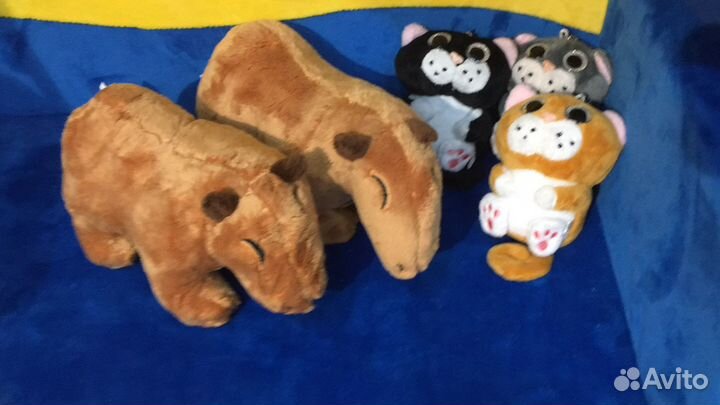 Гуси, аниме, бан бан, капибара, ленивец