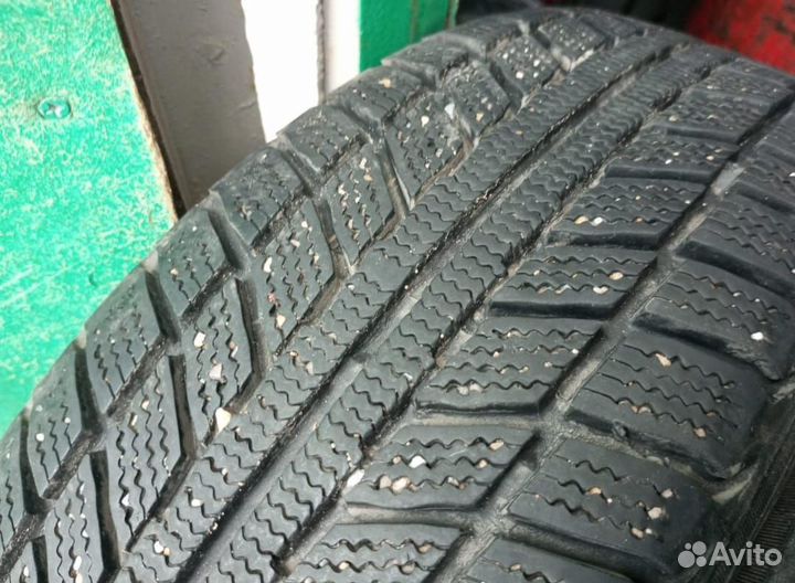 Белшина Artmotion 175/65 R14