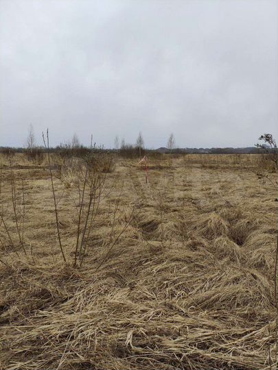 Участок 2,52 га (СНТ, ДНП)