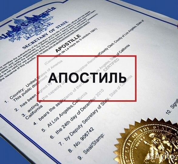 Перевод документов