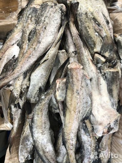 Минтай свежемороженый