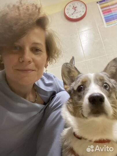 Усыпление животных на дому (эвтаназия )