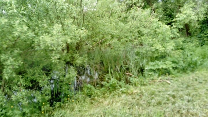 Дача 50 м² на участке 15 сот.