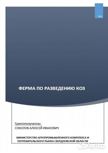 Бизнес план любой сложности. Соц.проект