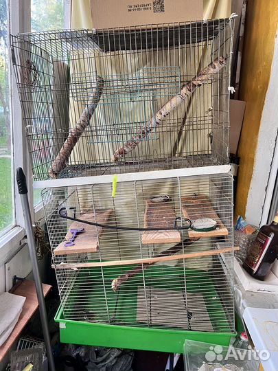 Клетка для грызунов бу