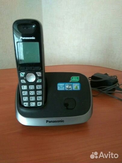 Panasonic