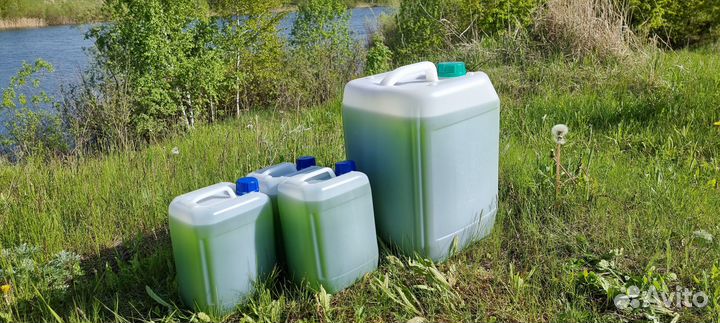 Хлорелла для очистки водоемов