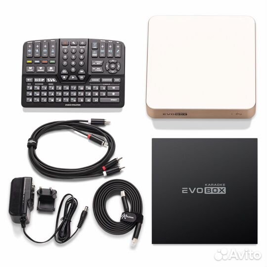 Караоке Evobox Gold + радиомикрофоны в подарок