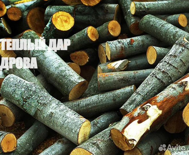 Дрова сухие