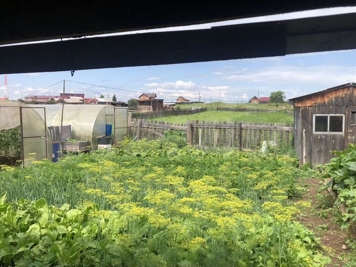 Дом 60 м² на участке 40 сот.