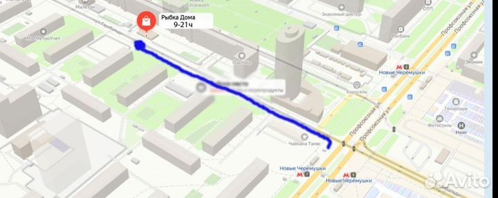 Рыбки хромис красавец 3-4см