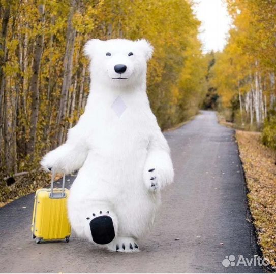 Праздники и мероприятия