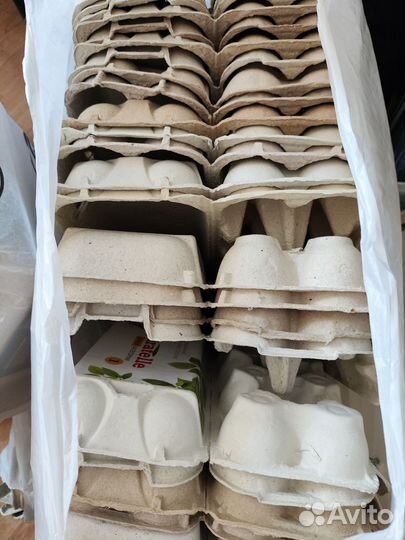 Лоток из под яиц