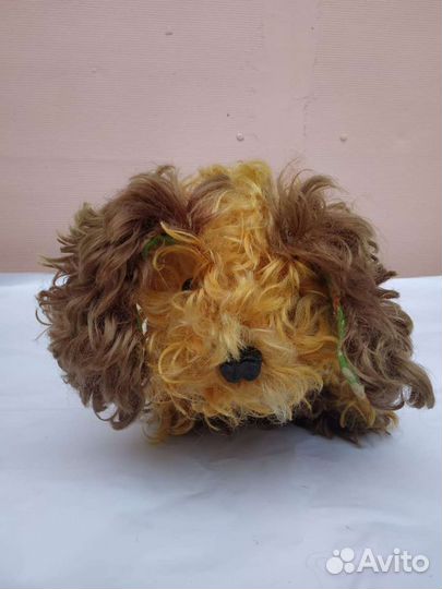 Собака СССР