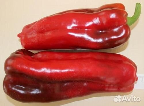 Семена сладкого перца