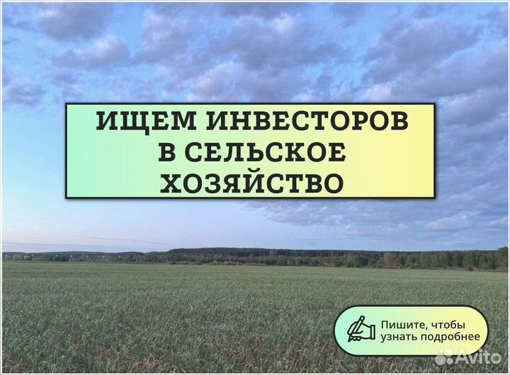 Инвестиции под проценты