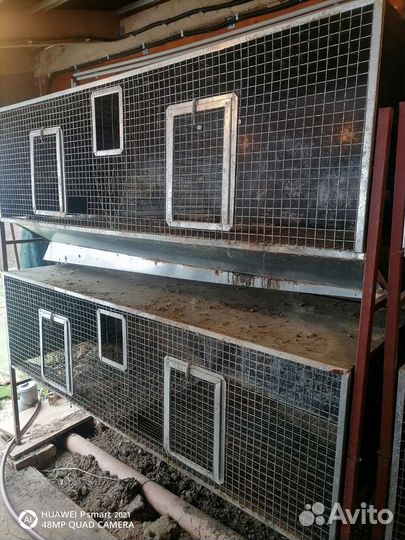 Клетки для кроликов бу