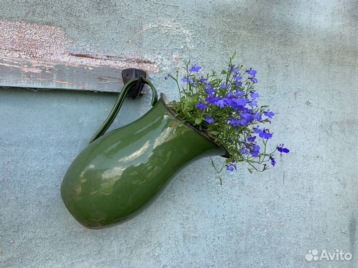 Продажа рассады цветов