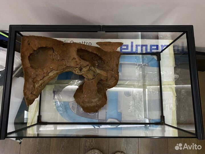 Террариум для рептилий