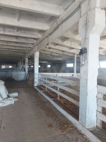 Участок 27 га (СНТ, ДНП)