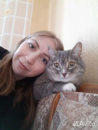 Присмотрю за питомцем