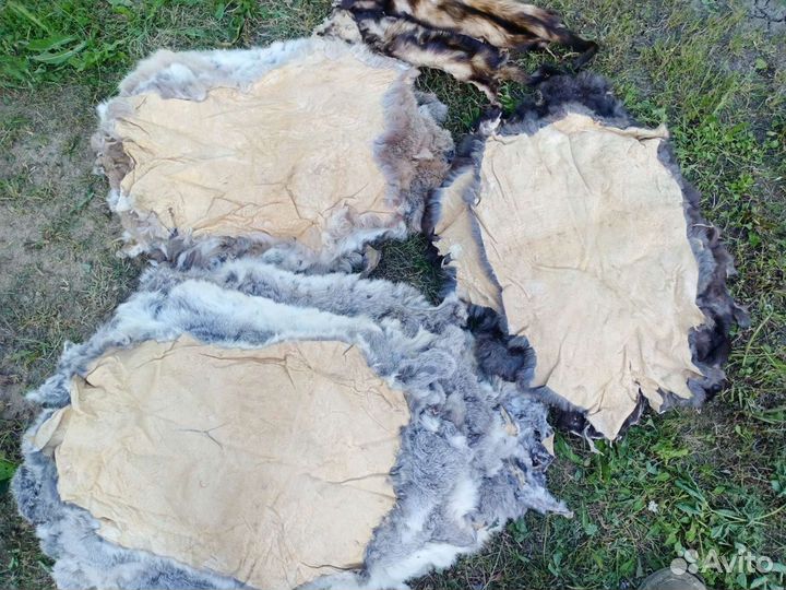 Шкура кролика
