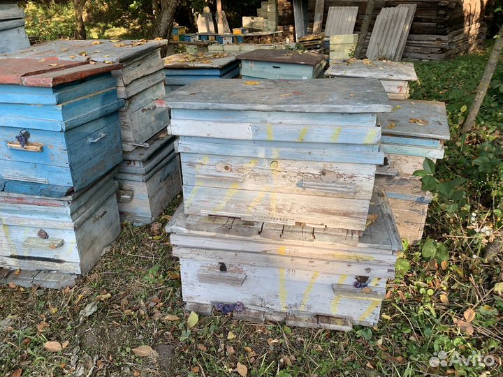 Ульи для пчел