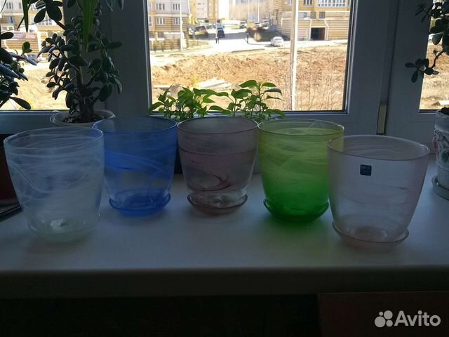 Горшок стеклянный для орхидей