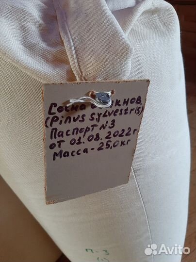 Семена / Ель обыкновенная