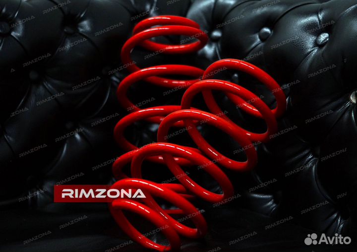 Пружины с занижением -30 на Passat