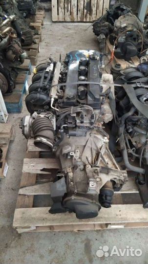Двигатель Ford Focus 2 qqdb