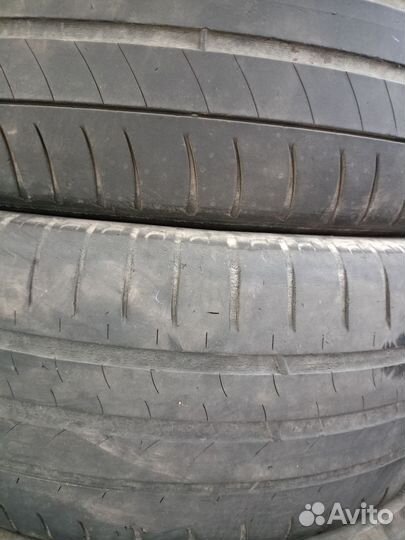 Bridgestone Blizzak DM-V2 205/55 R16