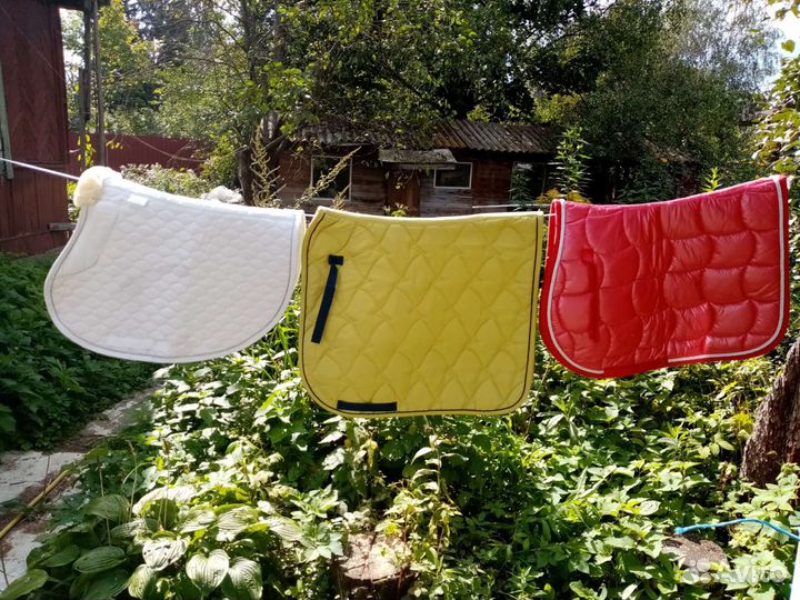 Амуниция для лошади