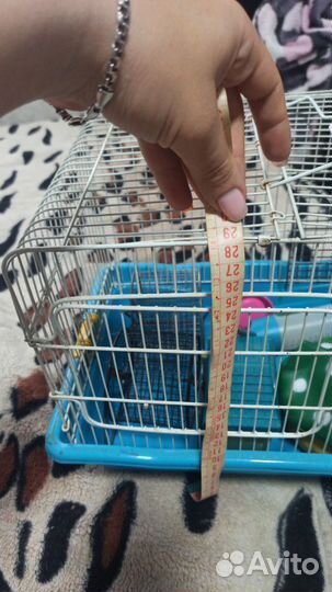 Клетка для хомяка