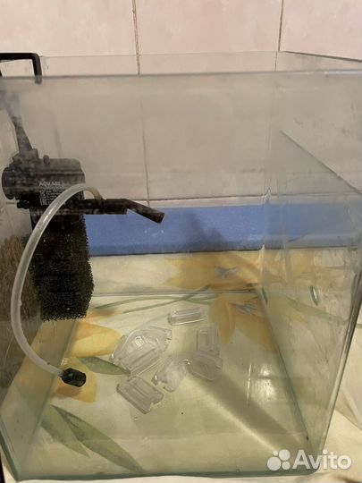 Аквариум террариум