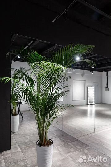 Аренда премиум лофта для праздников и мероприятий