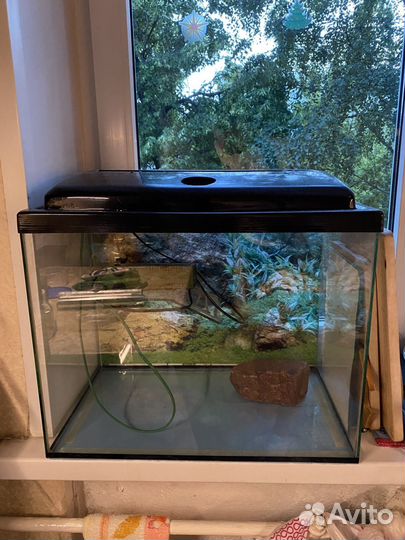 Аквариум