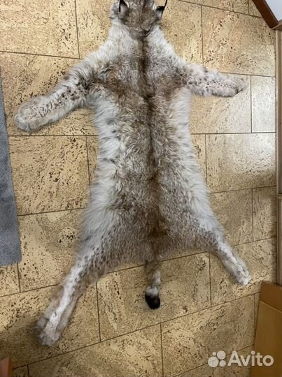 Рысь Имитация ковер